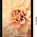 Americanflat A3 Picture Frame with Shatter-Resistant Glass - 11.7x16.5 Frame with Engineered Wood - Signature Collection - A3 Frames for Wall Display - Black