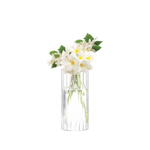 Gute 8 Inch Glass Vases for Decor, Flower Vase for Home Decor, Modern Decorative Clear Vase Centerpieces Living Room, Kitchen, Office Wedding or Gifts