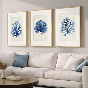 Framed Coastal Coral Watercolor Wall Art for Living Room, Large 3 Piece Navy Blue Coral Artwork for Walls, Minimalist Ocean Beach Marine Plants Pictures Prints for Bedroom Hallway Wall Decor, 20x30 In