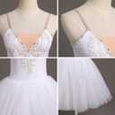 Ballet Leotard for Women Swan Lake Costume Floral Print Professional Ballerina Tulle Tutu Dance Dress (Pink, S)