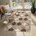 Lahome Moroccan Washable 3x5 Entry Way Rugs Indoor - Small Area Rug Aesthetic Non-Slip Throw Bedroom Rugs Thin Low-Plie Entryway Office Rug for Kitchen Bathroom Laundry Room, 3'x5' (Coffee)