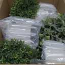 3 Pack Fake Plants in Cement Planter, Small Artificial Plants Indoor, Faux Boxwood Topiary Plants for Home Bathroom Kitchen Farmhouse Office Shelf Desk Room Decor