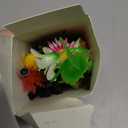 Luinabio 30 Pcs Bean Sprout Hair Clips Rave Mixed Style Plant Hairpins Hair Accessories for Party Irish(Lovely)