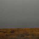 5 Tier Bookshelf 31.49" Width, Tall Book Shelf Storage and Organization, Wooden and Metal Industrial Bookcase, Large Book Shelves for Home Living Room Bedroom Office Storage(Vintage)