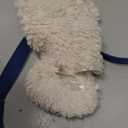 Coachi Chase & Crinkle - A Fun Enrichment Dog Toy for Chase & Play. Soft & Crinkly, Lightweight, Reward Training, Interrupting Biting & Chewing, Ideal for Agility and Suitable for Puppies