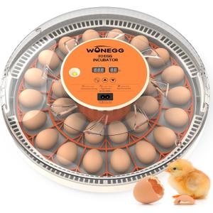 Incubators for Hatching Eggs with Automatic Egg Turning, Auto Temperature Control, Humidity Display, LED Egg Candler, 30 Eggs Incubator for Chicken, Quail, Parrot Eggs