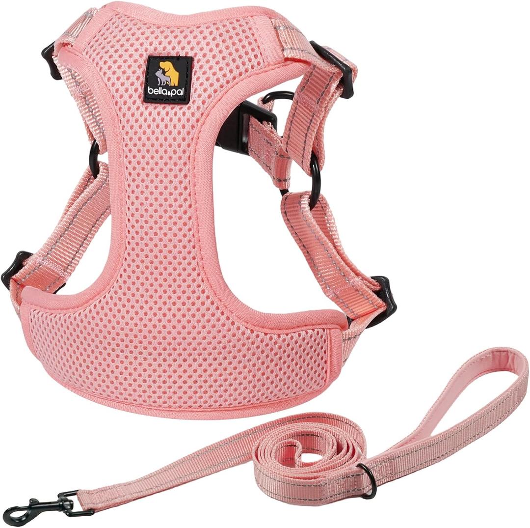 BELLA & PAL Adjustable Step-in Dog Harness, Puppy No-Pull Vest with Leash Set for XS/Small & Medium Dog, Breathable All-Weather Mesh, Reflective Strip, Secure Hook & Loop, Buckle Closure (XS (chest: 13-16"), Pink)