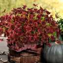 Artificial Fake Plants Flowers for Outdoor Outside Fall Decoration,24 Bundles Faux Silk Daisy in Planter UV Resistant Look Real for Home Front Door Porch Patio Garden Balcony Autumn Decor(Brown)