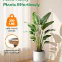 2 Pack Plant Caddy with Wheels, 12" Wood Rolling Plant Stand with 360 Lockable Wheels, Plant Stands Outdoor for Large Plants, Flower Cart Plant Dolly Plant Caster for Heavy Objects, Walnut