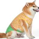 2 x DC Comics Superhero Aquaman Halloween Dog Costume - Officially Licensed Halloween Pet Costumes for Dogs, Size Large (Multicolor)