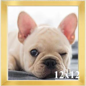 RUN HELIX 12x12 Picture Frame, Wall Gallery Photo Frames,Stable and Sturdy Gold Frame with High Definition Plexiglass,12x12 Poster Photo Frame,Horizontal and Vertical Formats for Wall Hanging, Gold