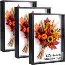 3 Pack Shadow Box Picture Frame Display Cases, 16 x 12 Inch, Black