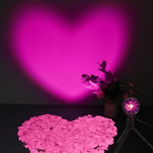 Heart Shaped Projection Lamp with 1000 Rose Petals Valentine's Day Sign Novelty Indoor Lamps USB Powered Romantic Night Light for Him Room Decorations Marry Me Proposal Weddings (Pink)