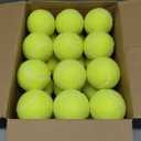 Tennis Balls, 24/36/80 Pack Bulk Tennis Balls Pressureless Tennis Ball, Come with Mesh Bag for Easy Transport,Pet Dog Playing Balls, Good for Beginner Training Ball