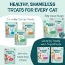 Shameless Pets Crunchy Cat Treats - Kitty Treats for Cats with Digestive Support, Natural Ingredients for Kittens, Healthy Flavored Feline Snacks - Variety Pack, 3-Pk