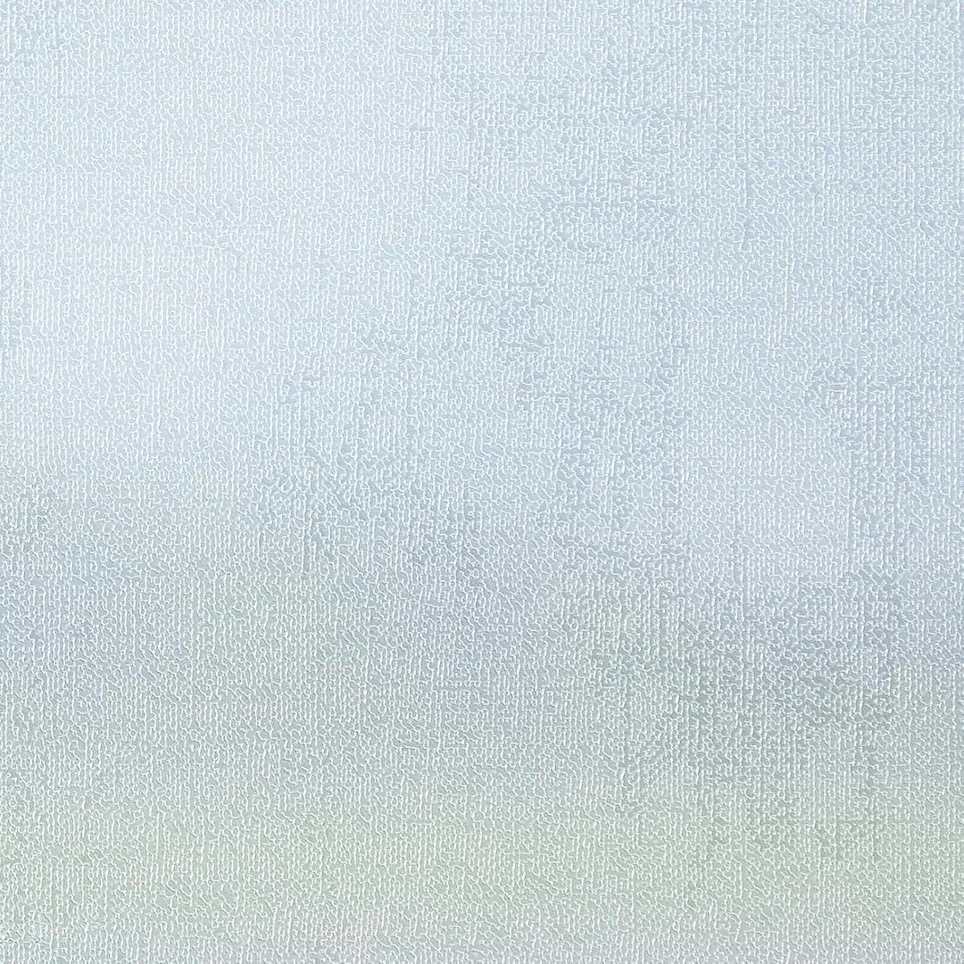 SUNBABY Window Privacy Film Frosted Glass Windows Clings Heat Blocking Windows Film Decorative Bathroom Door Windows Coverings Frosting Day and Night Privacy Film Home Window Tint,17.5x157.5IN