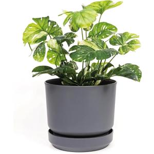 Elly Décor 8 inch Plastic Cylinder Planter Pot with Self-Watering Saucer and Drainage Hole,Lightweight & Extremely Durable, 8"x 8", Gray