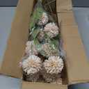 VIERENA 6 Pcs Faux Silk Pompon Mum Artificial Flowers for Vase -27", Bulk Fake Chrysanth Branches with Stems for DIY Bouquet Centerpieces Wedding Fillers Arrangements Shower Decorations (Beige)