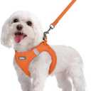 Rabbitgoo Dog Harness Small Sized and Leash Set, Step in Soft Light Puppy Vest, Breathable Mesh Pet Harness, Reflective for Safe Easy Walking, Orange M