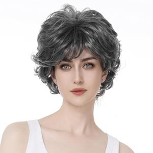 Aimole Short Curly Synthetic Wigs Full Capless Hair Women's Thick Wig for Everyday Grey Hair Wigs