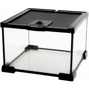 AWXZOM Mini Reptile Glass Terrarium Tank, cage for Tarantula Sling Geckos, Frog, Lizards, Chameleons,Turtles Snake Snail Insect Hermit Crab Isopods Reptiles Enclosure (7.9x7.9x5.7inch)