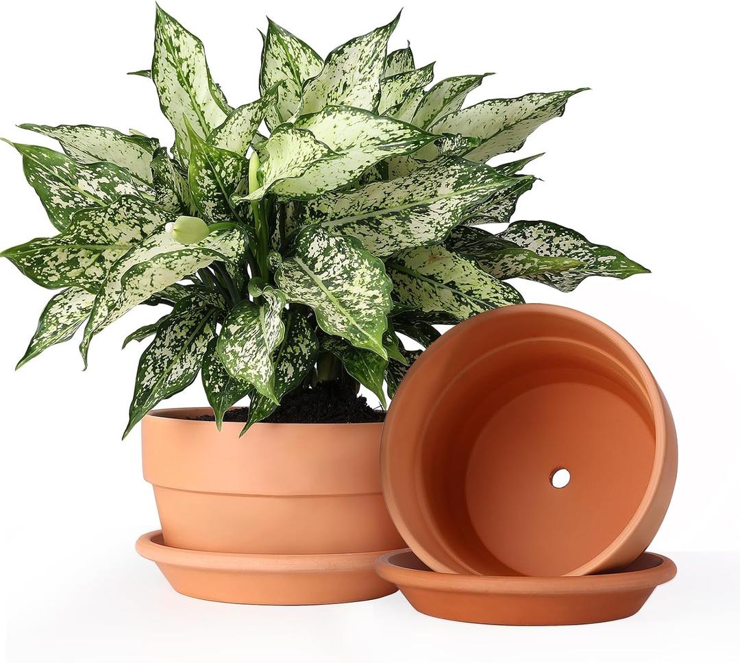 INGOFIN 8 Inch Terracotta Shallow Pots Set with Saucer - Ceramic Clay Pots with Drainage Hole, Terra Cotta Pot for Plants for Indoor Outdoor Plants, Set of 2, Shallow 8/8 inch -2 pcs