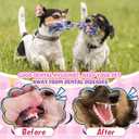 Syhood 48 Pcs Dog Toys Bulk Chew Ropes Dental Cotton Teething 2 Knot Tug of War Toy for Aggressive Chewers Small and Medium Dogs Puppies