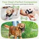 Mayerzon Dog Muzzle with Hook and Loop for Large Medium Small Dogs, Patented Soft Mesh Beagle Labrador Puppy Muzzles for Biting Chewing Grooming, Breathable, Adjustable, Allows Panting Drinking