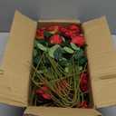 Hananona 50 Artificial Roses in Bulk, Fake Velvet Silk Burgundy Roses Realistic Red Roses for Wedding Centerpieces Flower Arrangement Home Decor (50, Burgundy)