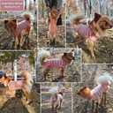 HeavenEye Dog Surgery Recovery Suit Onesies-Soft Cone Alternative for Female & Male Dogs, Post-Op Protective Wear, Stop Licking, Comfy Body Suit for Spay/Neuter After Surgery (Striped Pink,L)