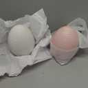 1 Pink And 1 White Holiday Home Ceramic Egg 6.1"