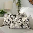 DYTXIII Pack of 2 Waterproof Outdoor Lumbar Pillow with Inserts, 12x20 in Rectangle Decorative Patio Throw Pillow for Home, Sofa,Bench and Patio Furniture, Paisley Black