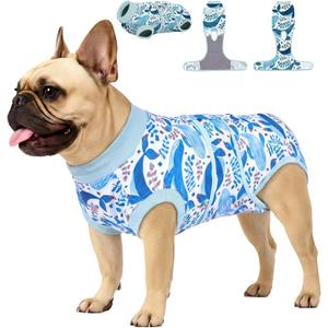 PetWarm Surgical Suit for Male Dogs After Neuter, Dog Surgery Suit, Cone of Shame Alternatives, Dog Surgical Recovery Onesies Female Male Dogs, Marine Animal Patterns, Blue, XS