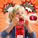 2 x Crunchy Freeze Dried Candies Ball, Freeze-Dried Strawberry Yogurt Crunch Bombs, Red & White Swirl Candy with Tart & Sweet Kick - Shattering Crunchy Snacks for Kids & Adults - 7oz Reusable Jar