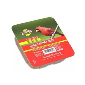 4pcs Audubon Park High Energy Suet Wild Bird Food, Best By Aug 26/2025 