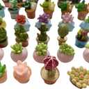 Miniature Potted Plants Resin Decoration 30pcs Random Set for Doll House Pretend Play Toys DIY Mini Home Garden Flowerpot Succulent Planter