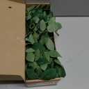Mizii 2 Strands Artificial Vines Garland 68" Fake Vine with Small Green Leaves Silk Rose Leaf Faux Hanging Plants Greenery Decorations for Bedroom Room Table Centerpieces Wedding Decor (Rose Leaves)