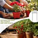 Geelin 15 Pack Peony Cages and Supports 12'' Dx 24'' H Grow Through Metal Plant Supports Frame Rings Hoops for Outdoor Plants Peony Flowers Tomato Rose(Green)