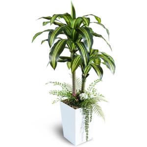 Artificial Plants Indoor, 4FT Tall Fake Tree with White Tall Planter, Artificial Dracaena Tree for Living Room Office Home Decorations Housewarming Gifts