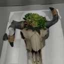 alikiki Bull Skull Head Wall Decor - Succulent Flowers Resin Cow Horn Southwestern Wall Hanging 3D Animal Sculpture Crafts Western Boho Decor for Bedroom Living Room