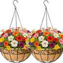 EIMQUVW 2 Pack Outdoor Patio Hanging Baskets 12 Inch Chain Link Round Metal Hanging Planters with Coco Liner Wire Flower Pots Suitable for Balconies Porches Gardens and Windowsills (Lacework)