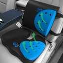 Everlasting Comfort Seat Cushions for Car Seats & Office Chairs - Ergonomic Cushions for Long Car Trips and Desk Sitting - Car, Truck and Office Accessories for Back Support (Executive Black)