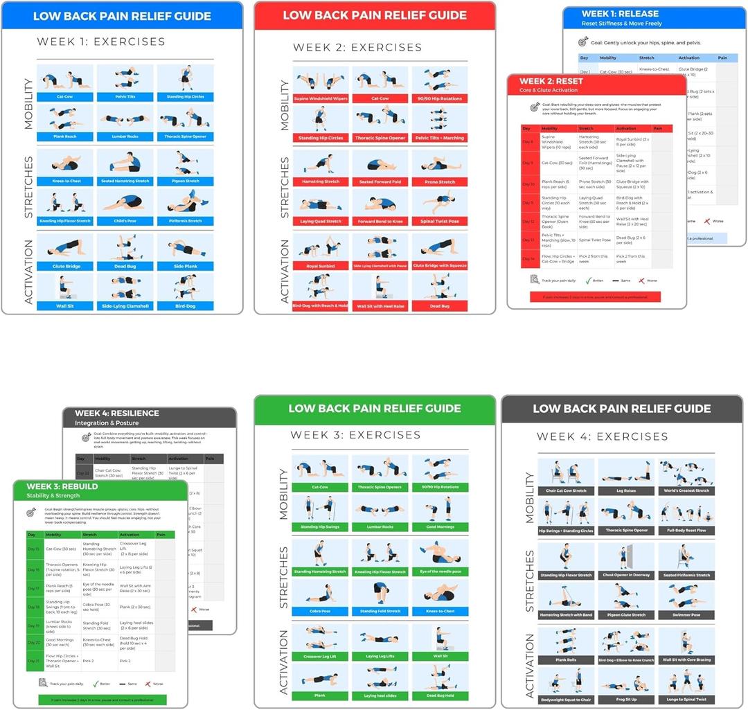 4-Week Low Back Pain Relief Workout, Easy-to-Follow Exercise Guide with Structured Weekly Program