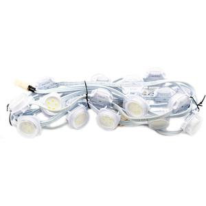 2 Pack Color Kinetics 999-009033-00 EW-Flex-SLX LED Light, 20-Node, 13-CM OC, Clear, Flat, 4200K