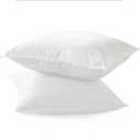 Elegant Comfort Set of 2 Throw Pillow Inserts with Poly-Cotton Shell Siliconized Fiber Filling - Sofa Bed and Couch Pillows - Indoor Decorative Pillows 12 x 12 Inch, Pack of 2