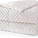 Ultra-Soft Weighted Blanket for Adults(15 lbs, 60” x 80” Queen Size) Minky Dot Fleece Cooling Breathable Heavy Blanket with Glass Beads, Perfect for 140-190 lbs, Machine Washable, Cream