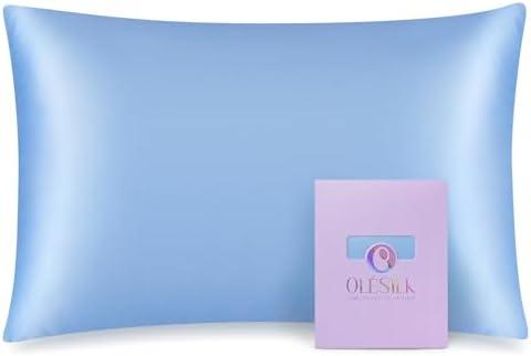 OLESILK 100% Mulberry Silk Toddler Pillowcase for Hair and Skin, Both Sides 19 Momme Pure Natural Silk Travel Pillow Cases with Hidden Zipper, 13"x 18", Light Blue