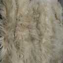 Ciicool Ultra Soft Faux Sheepskin Fur Rug Fluffy Rug for Bedroom Fuzzy Carpet for Living Room Kid's Room Nursery Decor, Beige 2 x 6 Feet