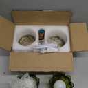 Wireless Wall Sconce with Flower lampshade, Battery Operated Wall Lights,Wall lamp with 15 Colors for Bedroom Living Room Home Decor (Green, 2 Light Battery Operated)