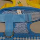 4 Pieces Adjustable Chicken Harness with Leash Elastic Comfortable Small Size Hen Vest with Matching Belt Breathable Fruit Print Duck Harness Set for Chicken Duck Goose Pet Training Walking S